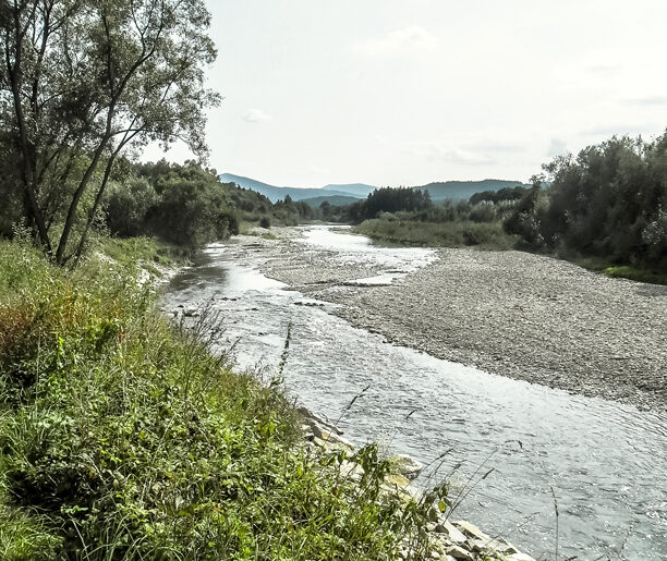 Myślenice – Skomielna Czarna (30 km)