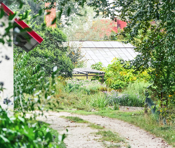 Szkółka czy(li) miejskie ogrodnictwo