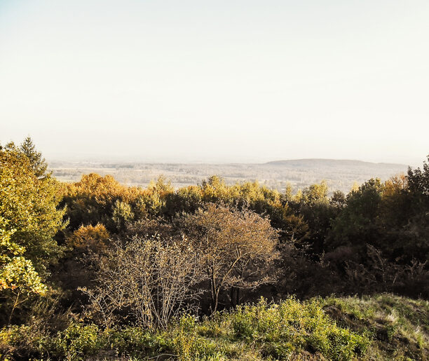 Przeginia Duchowna – Kajasówka (5 km)