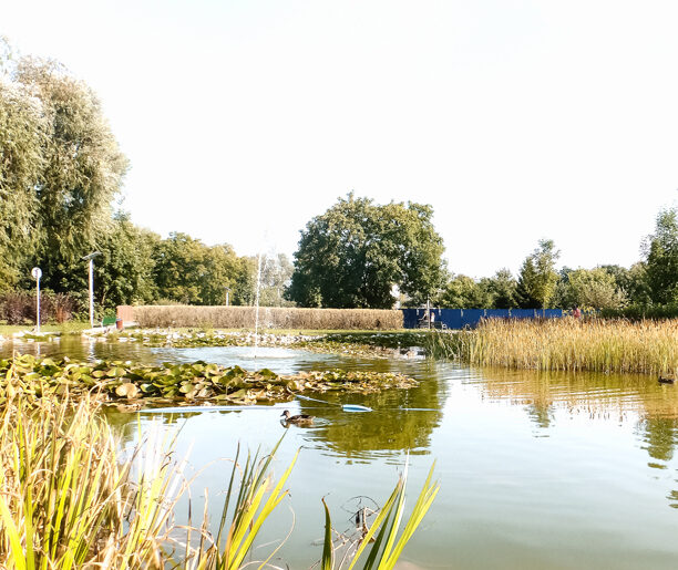 Kraków, Rynek Główny – Raciborowice (15 km)