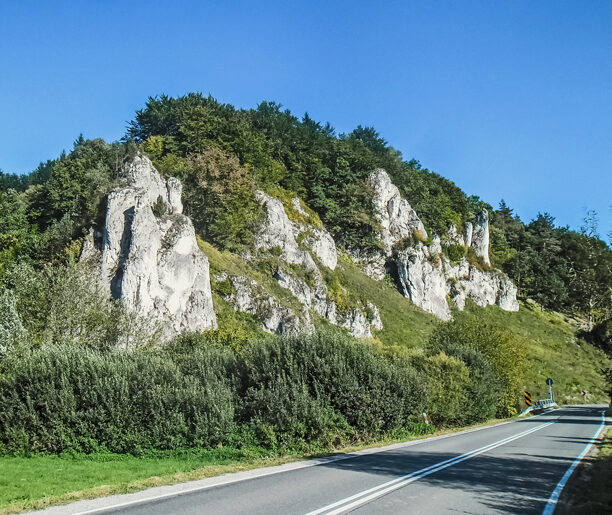 Wysocice – Grodzisko (15 km)