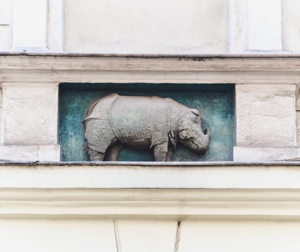 Przyroda zwizualizowana