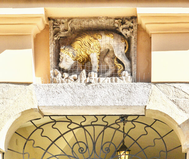 Lew, słoń i nosorożec