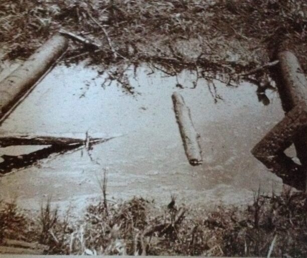 Kopanka z Łosia – fotografia