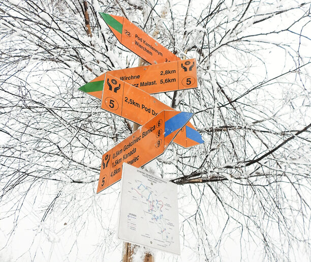 Śnieżne Trasy przez Lasy ‒ Banica