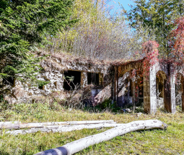 Podróż na wskroś myśli, która zmienia świat