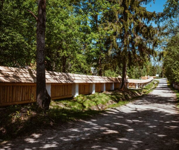 Historie z pogranicza