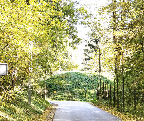 Kraków, Rajsko – Kraków, Rynek Główny (13 km)