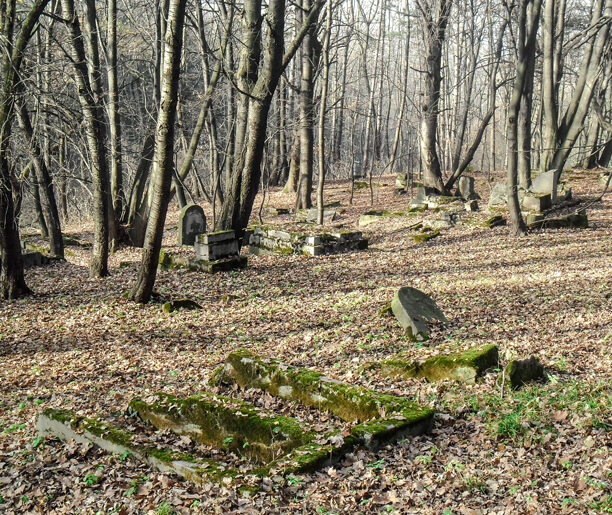 Kraków, Bieżanów-Kaim – Wieliczka, Klasno (7 km)