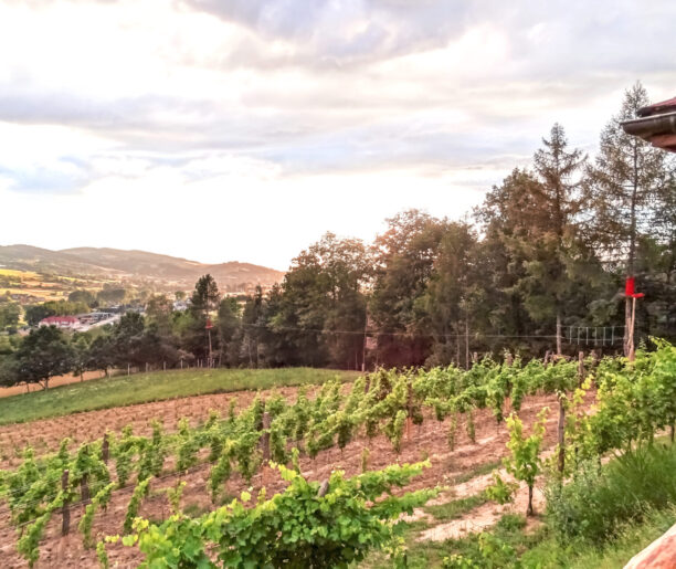 Wiśnicka kolebka kulinariów