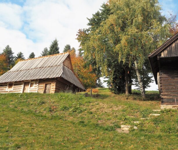 Muzeum – skansen w Ochotnicy Górnej