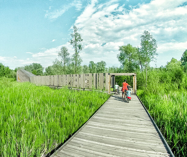 Enklawa przyrodnicza Bobrowisko