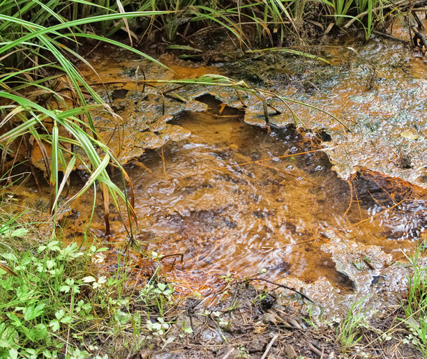 Oddech ziemi czy diabła? Mofeta im. prof. Henryka Świdzińskiego