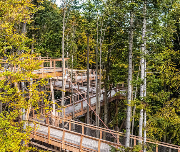 Dumna wieża. Wieża widokowa w Słotwinach Arena