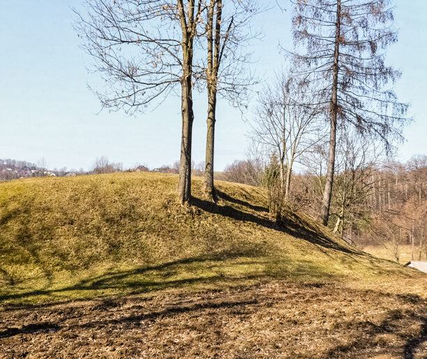 Grodzisko na wzgórzu Kocica