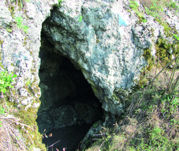 Zjawiska krasowe