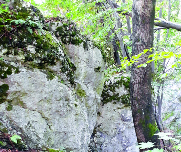 Budowa geologiczna Doliny Aleksandrowickiej