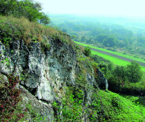 Rezerwat przyrody „Kajasówka”