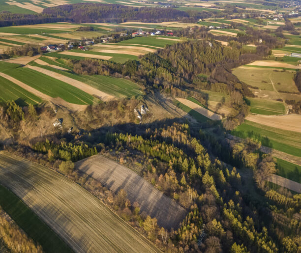 Pieszo przez Dolinę Dłubni
