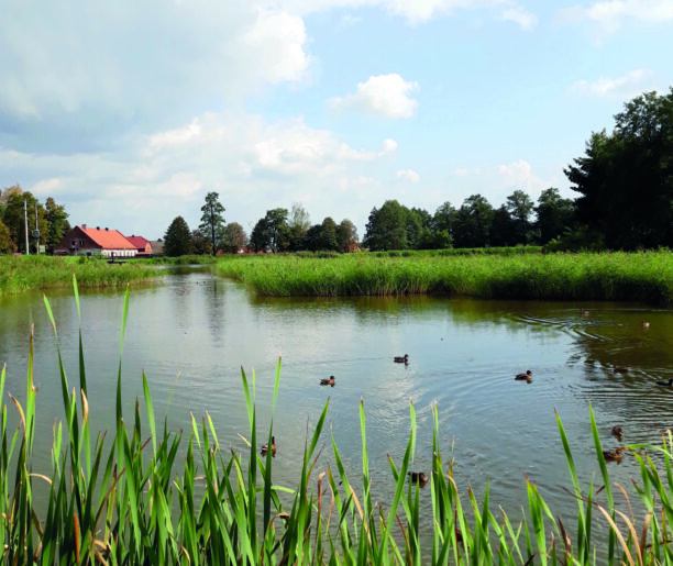 Dolina Aleksandrowicka