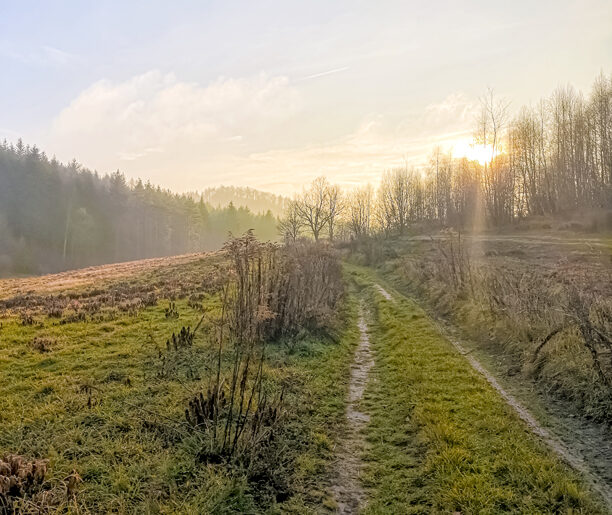 Dolina Wodącej (lub Wodąca)