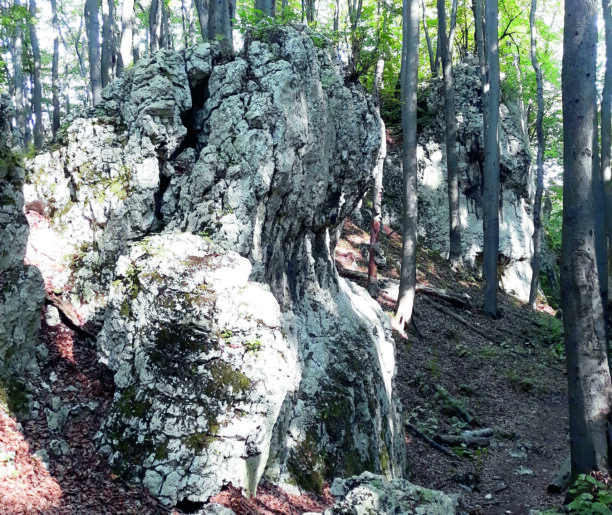 Zubowe Skały