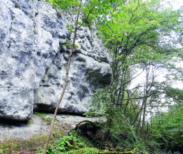 Budowa geologiczna doliny