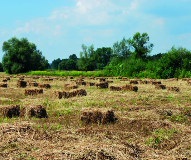 Poręba Żegoty i okolice