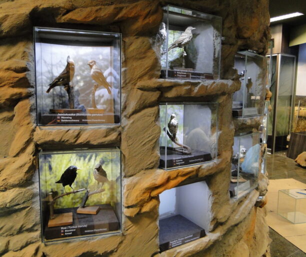 Muzeum Przyrodnicze im. Krystyny i Włodzimierza Tomków