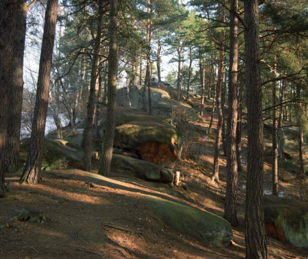 „Skamieniałe Miasto”