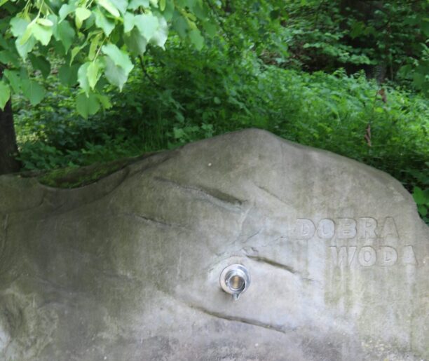 Źródło pod „Skamieniałym Miastem”