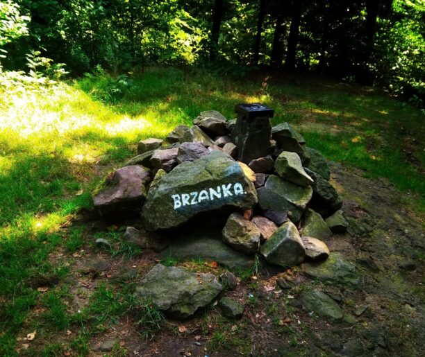 Szczyt Brzanka