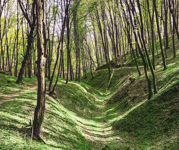 Wąwóz Półrzeczki