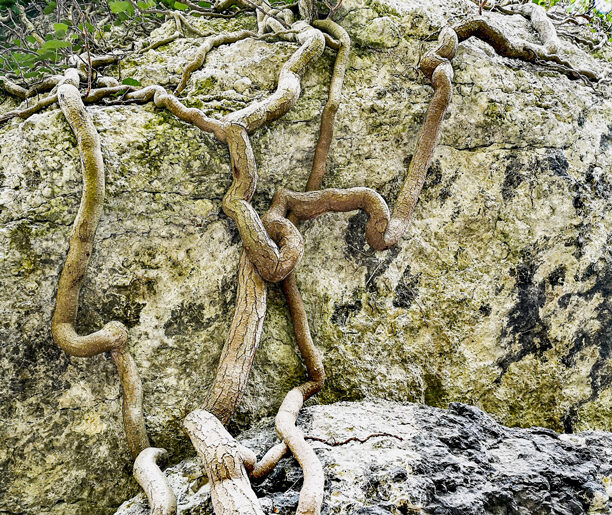 Rezerwat Zimny Dół – atrakcje przyrodnicze