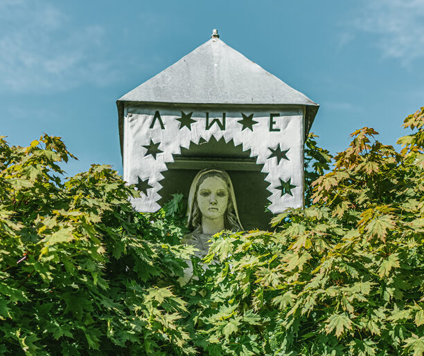 Niepokorna wieś