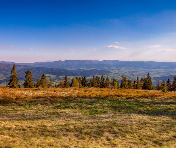 Historia o dwóch wielkich miłościach