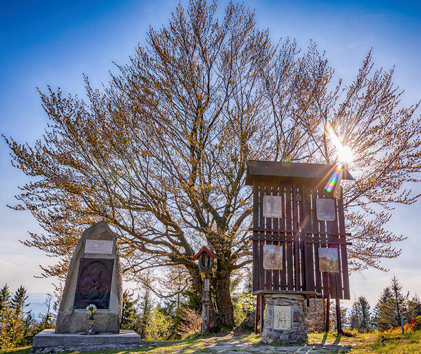 Wyspy na morzu mgieł – Ćwilin