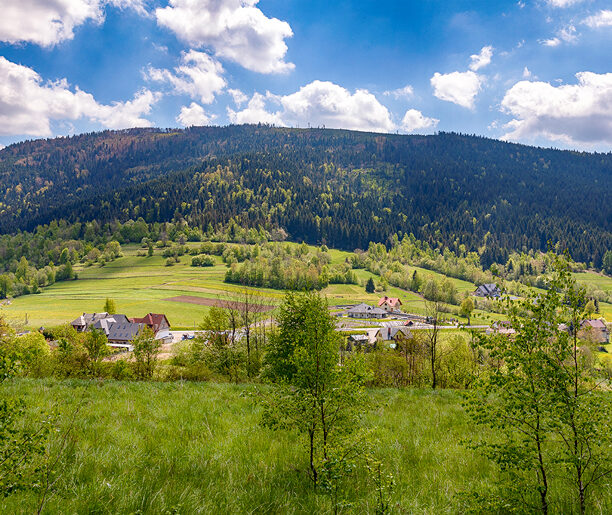 W drodze do przełęczy – Gruszowiec