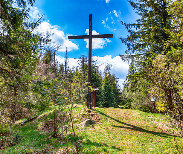 Śnieżna pani – Śnieżnica