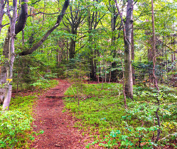 U podnóża gór – Jurków