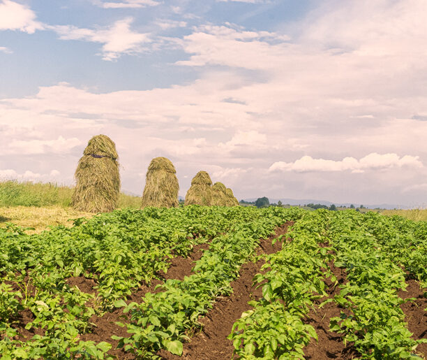 Chochołów–Nowy Targ (ok. 20 km)