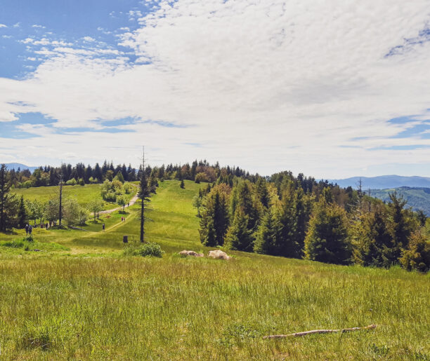 Tam, gdzie oczy poniosą