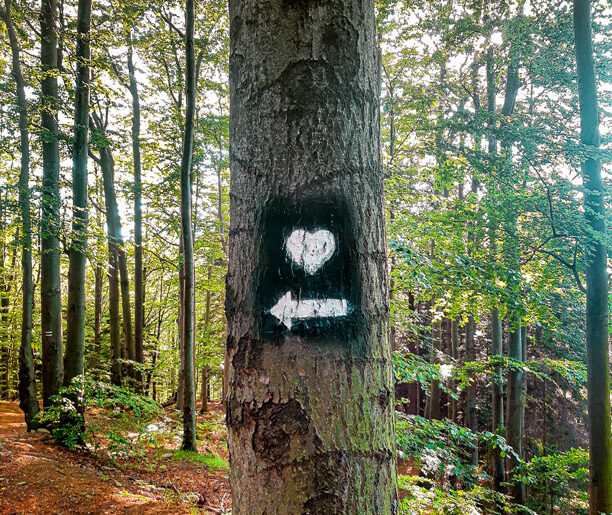 Schronisko w cieniu sanktuarium