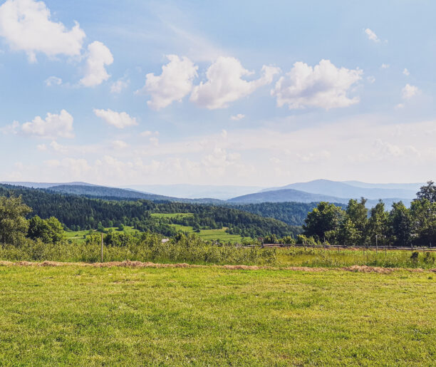 Зоряною стежкою по мисленицьких пагорбах