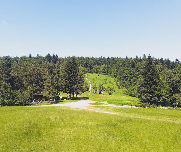 Мисленіцька Поляна Хохловська