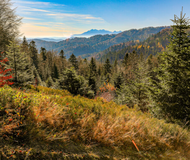 Łąckie specjały górskie