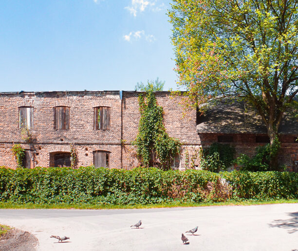 Żabi młyn i zaczarowana dorożka