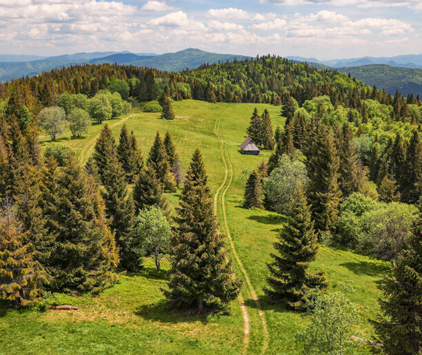 Polana Magurki i ścieżka edukacyjna