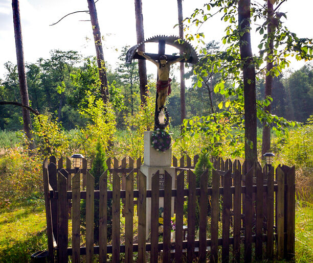 Cmentarz choleryczny