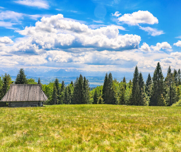 Пастушою стежкою на Магурки